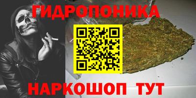 наркотики Новозыбков