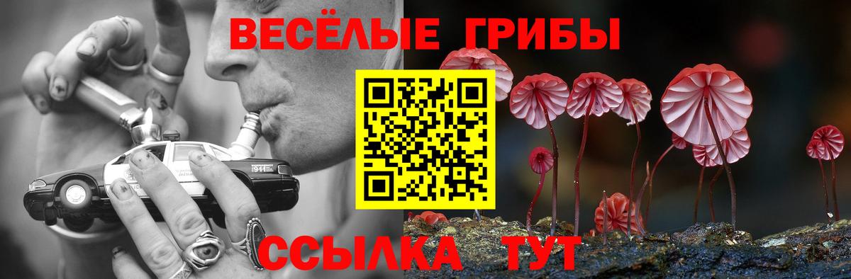 Псилоцибиновые грибы MAGIC MUSHROOMS  Вход с VPN  Ступино  Псилоцибиновые грибы Psilocybine cubensis 